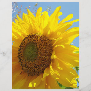Papier de scrapbooking Jardin Tournesol Jaune