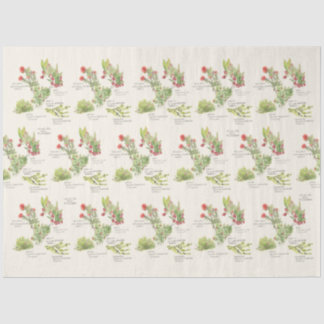 Papier de soie aux plantes indigènes du volcan de 