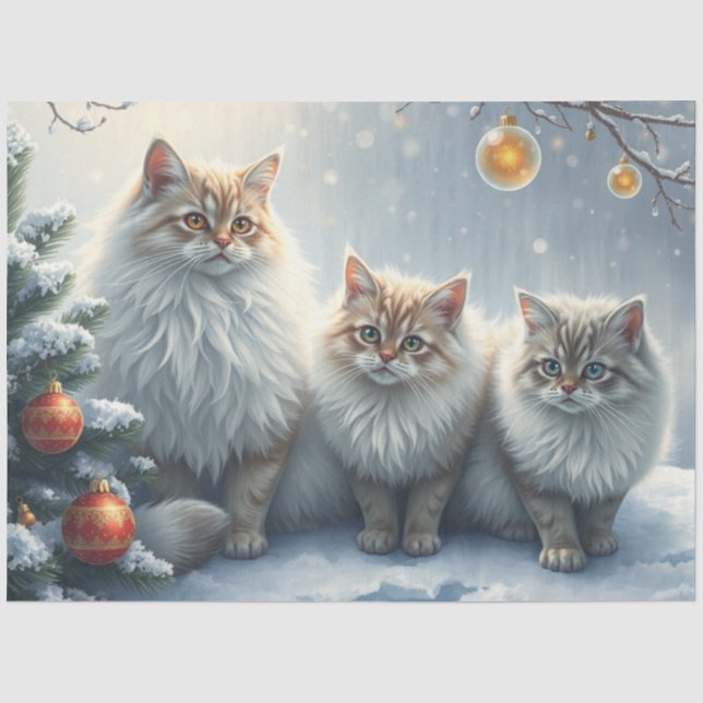 Papier de soie Chats de Noël Fluffy (Recto)