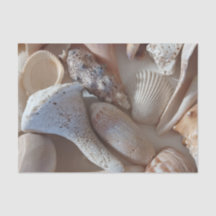 Papier de soie coquillage