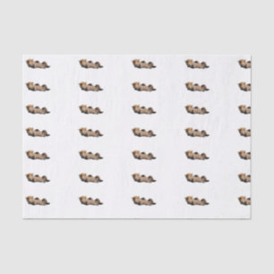 Papier de soie de la soie 10lb fait sur commande,