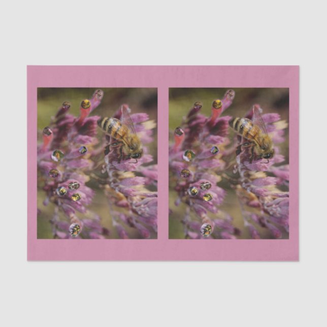 Papier de soie de soie d'abeilles de bulle (Recto)