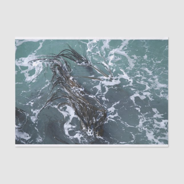 Papier de soie de soie d'algue (Recto)