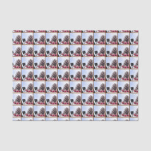 Papier de soie de soie de Boston Terrier de Noël