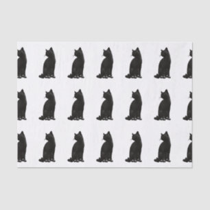 Papier de soie de soie de chat noir