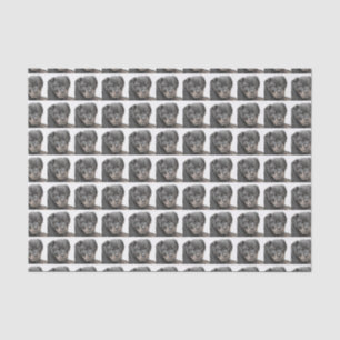 Papier de soie de soie de chien de rottweiler