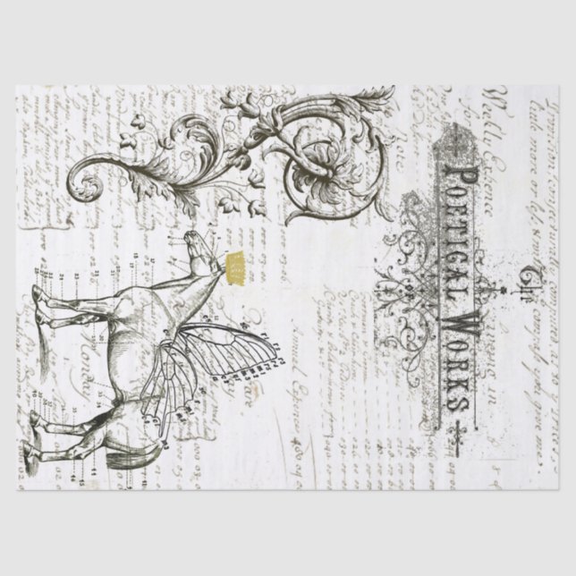 Papier de soie de soie de collage de Digitals de (Recto)