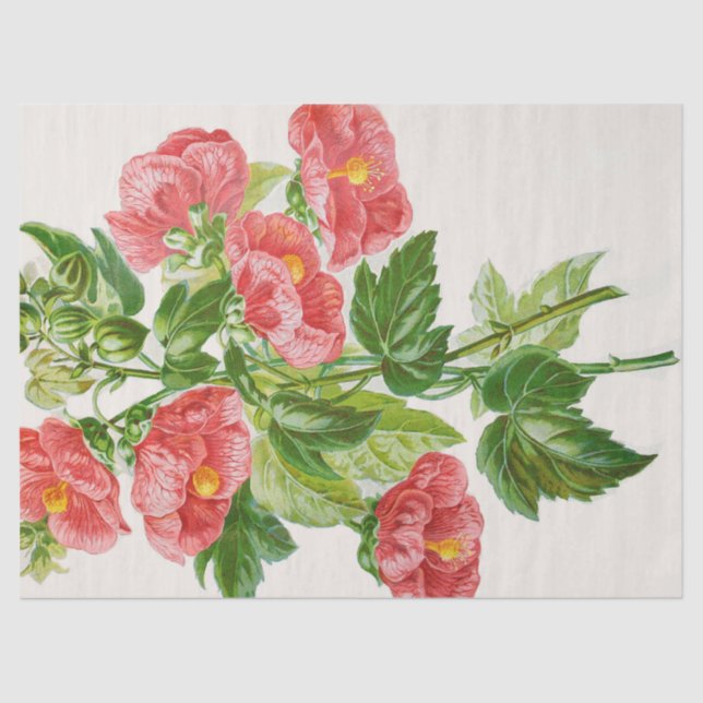 Papier de soie de soie de corail d'art de fleur de (Recto)