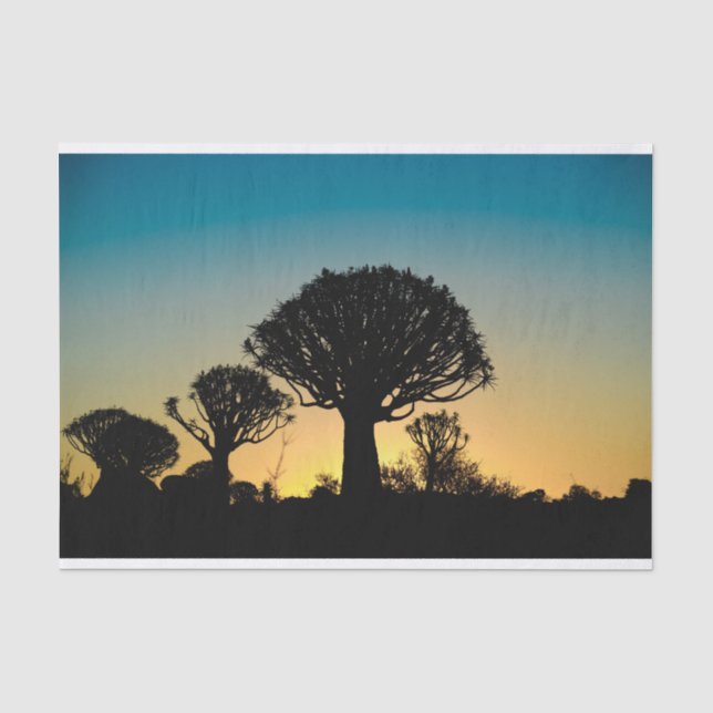 Papier de soie de soie de coucher du soleil de (Recto)