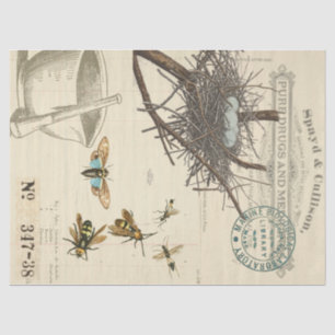 Papier de soie de soie de Decoupage d'apothicaire