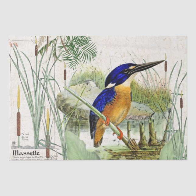 Papier de soie de soie de faune d'étang de Cattail (Recto)