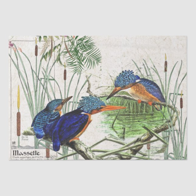 Papier de soie de soie de faune d'étang de Cattail (Recto)