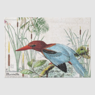 Papier de soie de soie de faune d'étang de Cattail