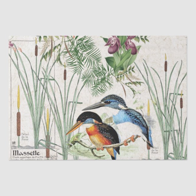 Papier de soie de soie de faune d'étang de Cattail (Recto)