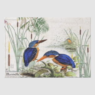 Papier de soie de soie de faune d'étang de Cattail
