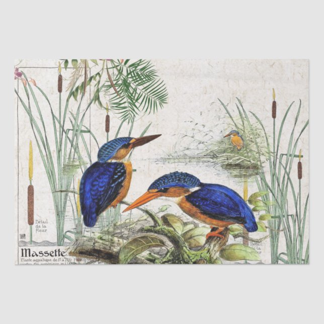 Papier de soie de soie de faune d'étang de Cattail (Recto)