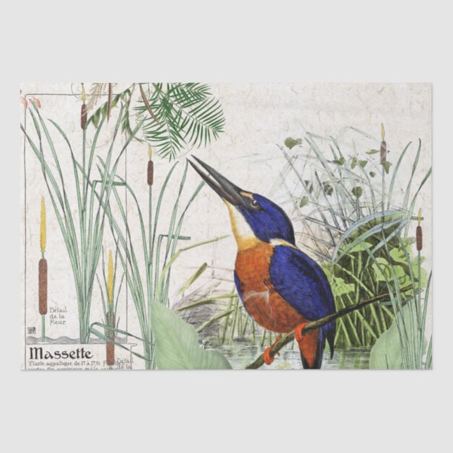 Papier de soie de soie de faune d'étang de Cattail (Recto)