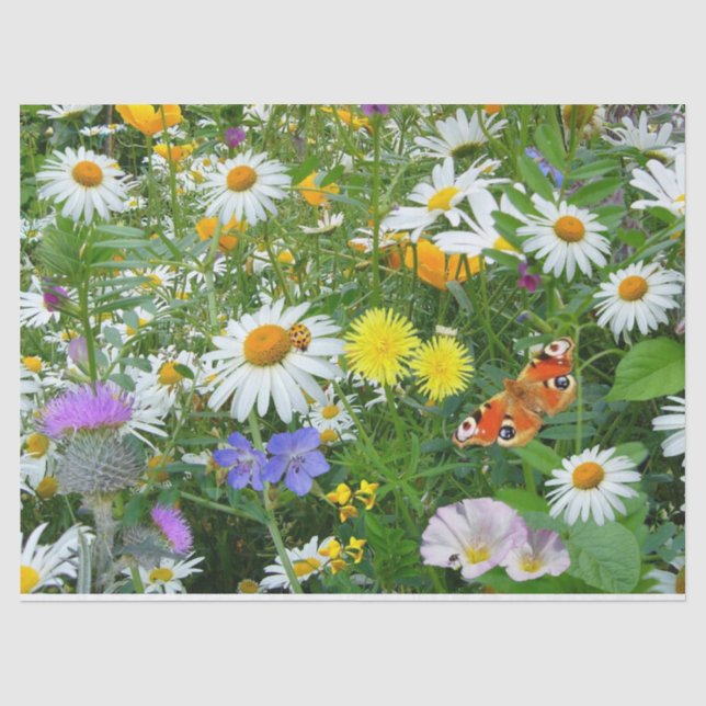 Papier de soie de soie de fleurs sauvages (Recto)