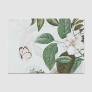 Papier de soie de soie de MAGNOLIA de PAPILLON