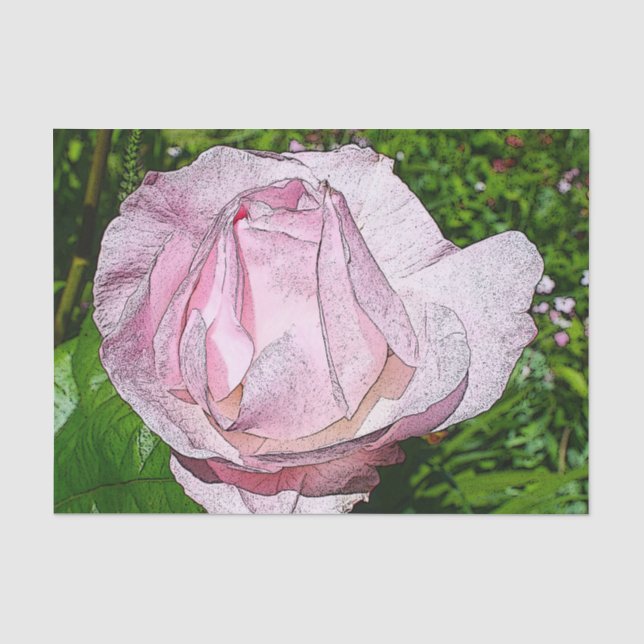 Papier de soie de soie de rose de rose (Recto)
