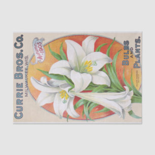 Papier de soie de soie floral vintage du lis de