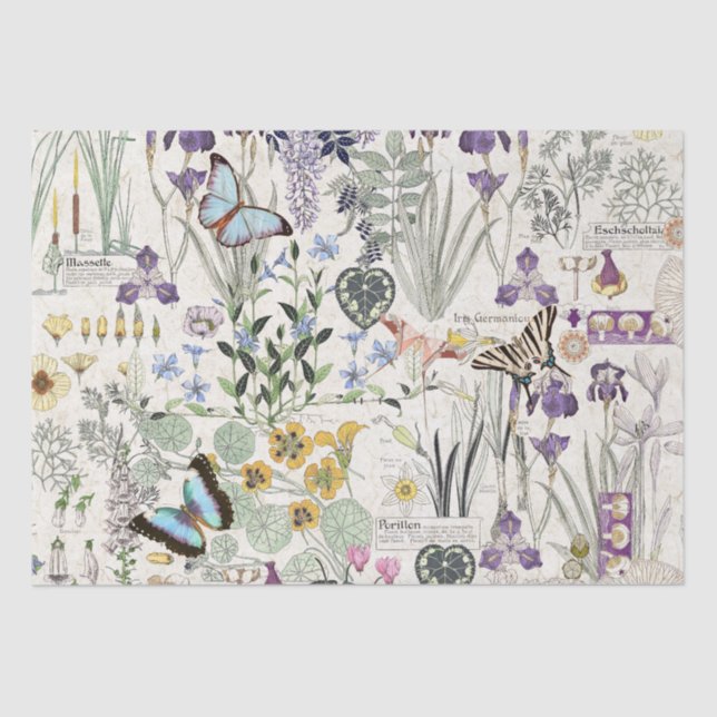 Papier de soie de soie français de fleurs de (Recto)