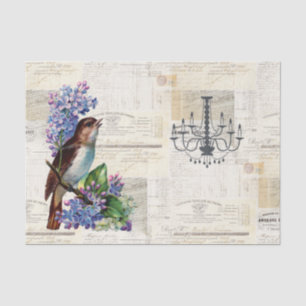 Papier de soie de soie français vintage d'oiseau
