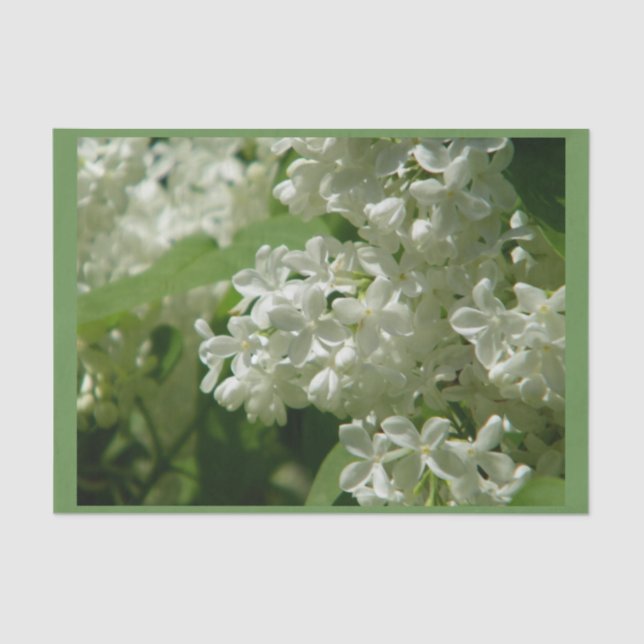 Papier de soie de soie pour vous cadeau spécial (Recto)