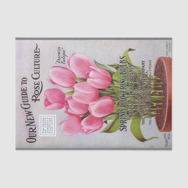 Papier de soie de soie rose antique de catalogue (Recto)