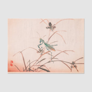 Papier de soie de soie ROSE JAPONAIS de MANTE de