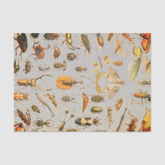 Papier de soie de soie TRÈS FRAIS d'INSECTE