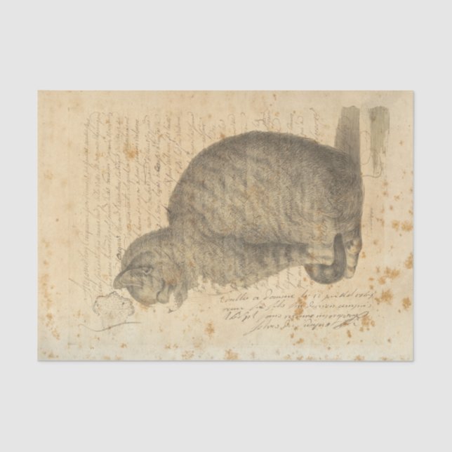 Papier de soie de soie vintage de chat (Recto)