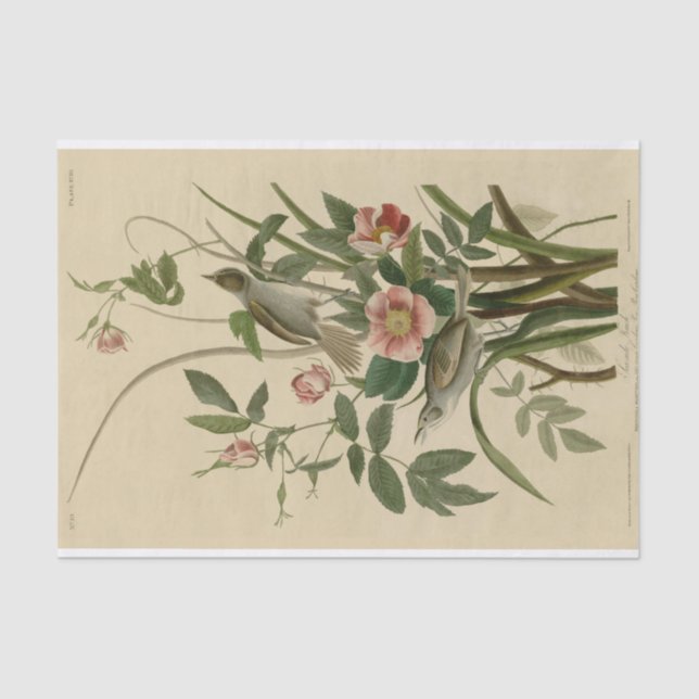Papier de soie de soie vintage romantique (Recto)