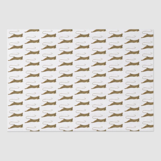 Papier de soie dessin Stingray vintage (Recto)