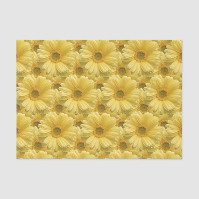 Papier de soie floral Jaune Daisy Marguerites (Recto)