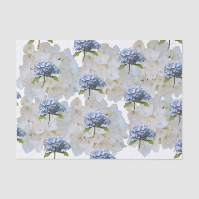 Papier de soie hydrangea bleu poussiéreux (Recto)