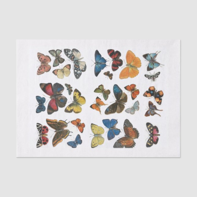 Papier de soie papillon découpage (Recto)