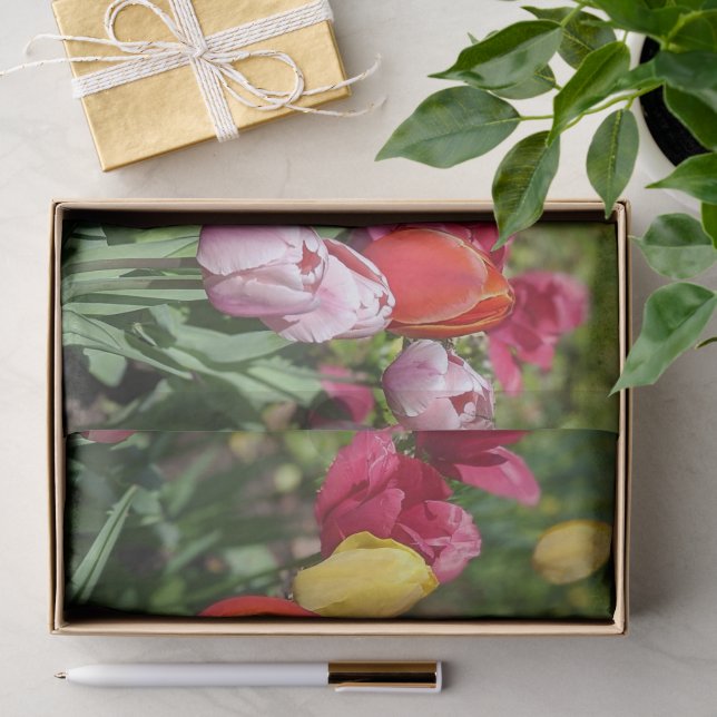 Papier de soie photo de tulipes (Cadeau)