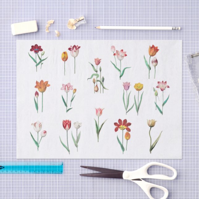 Papier de soie Tulipes (Artisanat)