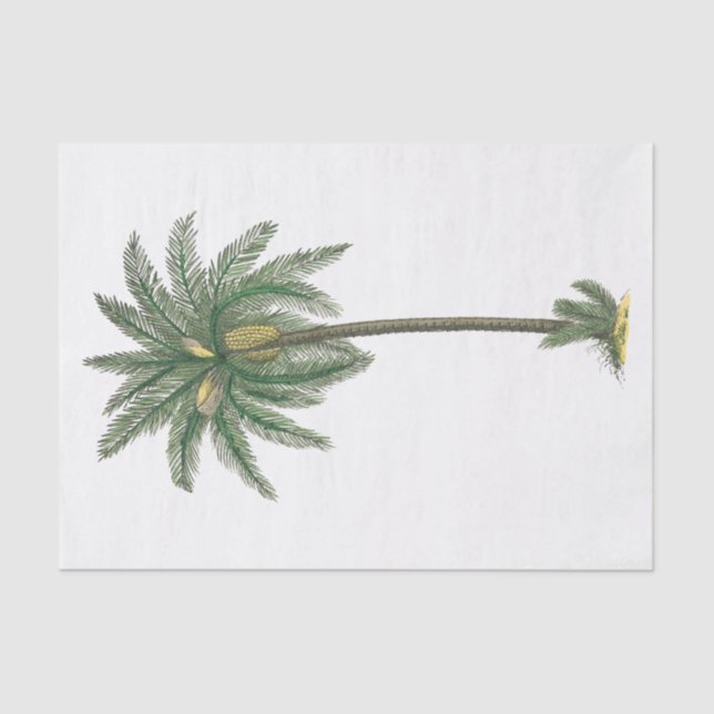 Papier de soie végétal de palmier tropical #2 (Recto)