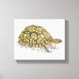 Papier de toile de tortue à boîte orientale