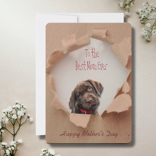 Papier déchiré Brown Chien Maman Carte de fête de 