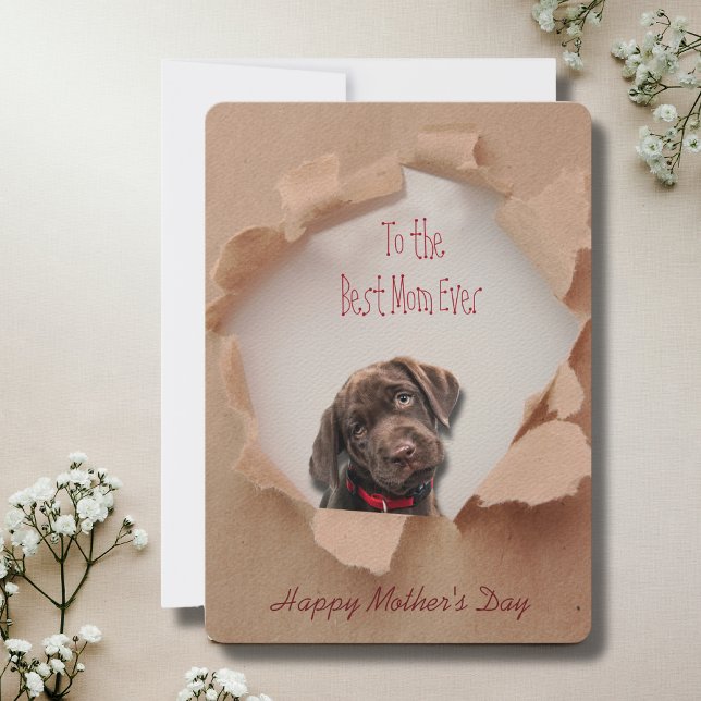 Papier déchiré Brown Chien Maman Carte de fête de  (Mothers Day is a great time to show mom how special she is, but any day is a day to say I love you!)