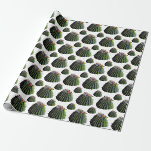 Papier d'emballage cadeau Cactus