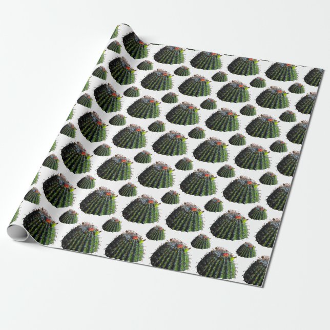 Papier d'emballage cadeau Cactus (Déroulé)