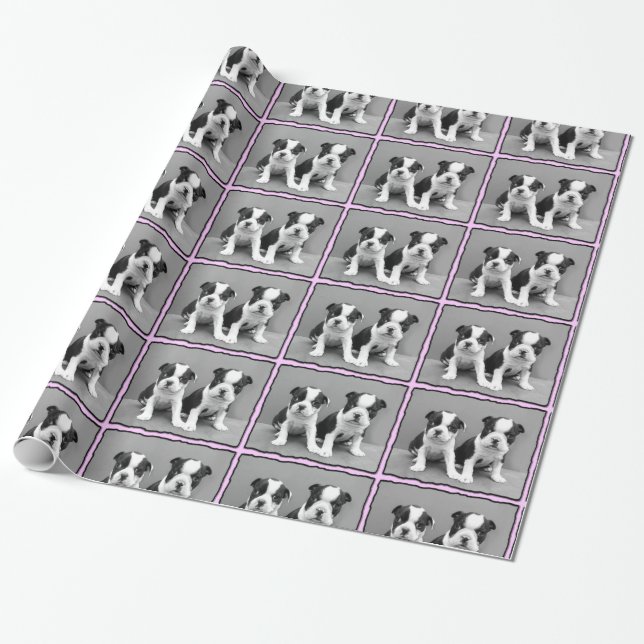 Papier d'emballage cadeau de chiot de Boston (Déroulé)