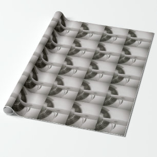 Papier d'emballage cadeau du propulseur d'avion
