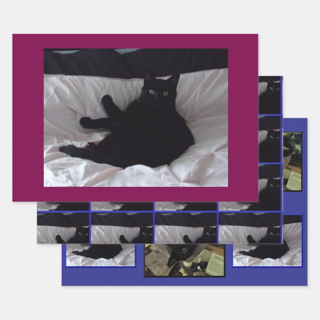 Papier d'emballage Chat Noir plat set de 3 feuille (Lot)