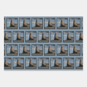 Papier D'Emballage D'Un Sceau D'Éléphant (Mix)