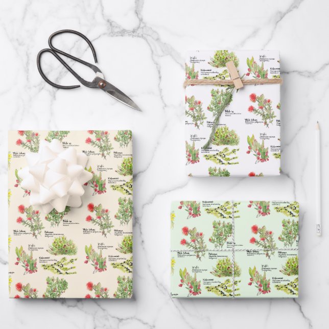 Papier d'emballage Plantes indigènes du volcan d'H (Recto)